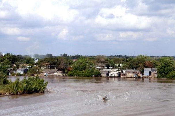 Sạt lở đất ven sông tại huyện Năm Căn, Cà Mau: ảnh hưởng đến hàng chục hộ dân
